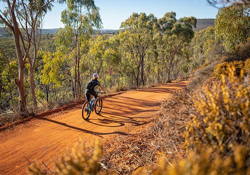 A cyclist rides along a winding dirt trail surrounded by vibrant green trees and golden foliage, with the sun casting long shadows on the path.
