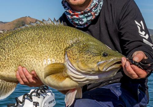A fisherman proudly holds a large, freshly caught fish with a rugged outdoor setting in the background.